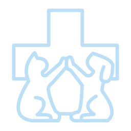 Light blue outline of a cat and a dog sitting and touching paws in front of a medical cross, representing compassionate veterinarian care.
